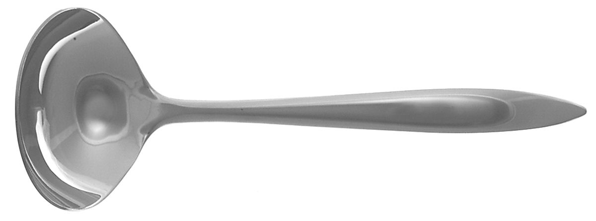 Aurora (Stainless) Solid Gravy Ladle by Mikasa-1