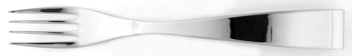 Sarong (Stainless) Fork by Mikasa-1