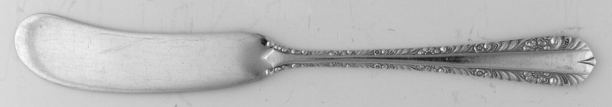 MCG5 (Silverplate) Flat Handle Butter Spreader by Mcglashan Clarke & Co-1