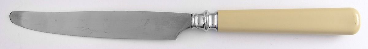 Cottage (Stainless) New French Hollow Knife by Martha Stewart Flatw-1