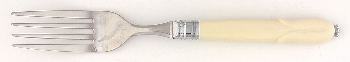 Mis38(Stainless) Individual Salad Fork by Mikasa-1