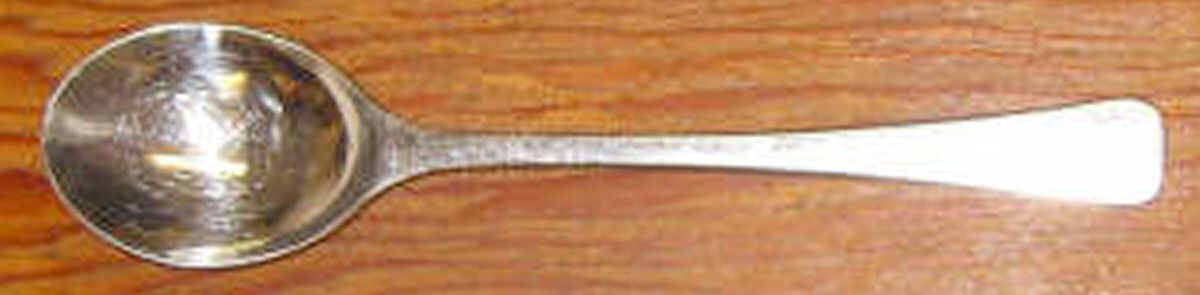 MEP5 (Stainless) Teaspoon by Mepra-1