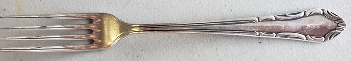 MTN12 (Silverplate) Fork by Martin-1