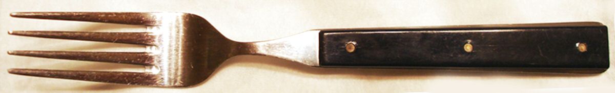 Shanel-Navy Blue Fork by Mikasa-1