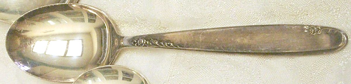 MXD3 (Silverplate) Teaspoon by Meridional-1