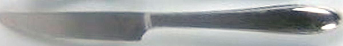 Continental (Stainless) New French Solid Knife by Mikasa-1