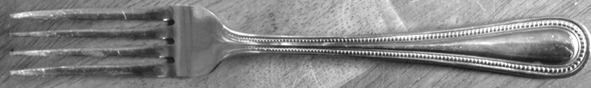 MIS46 (Stainless) Fork by Mikasa-1