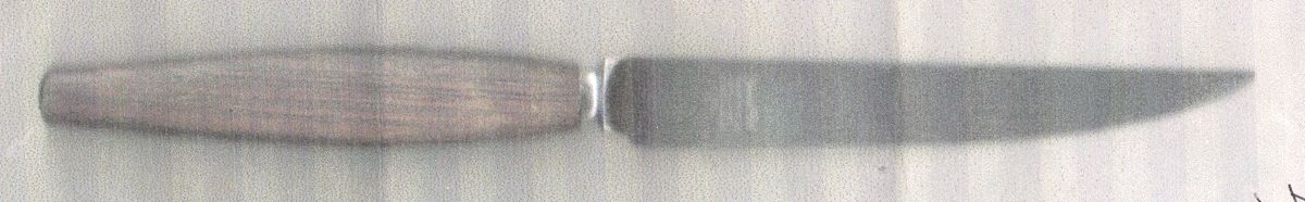 MFF11 (Stainless) Individual Steak Knife Hollow Handle by Marshall Field-1