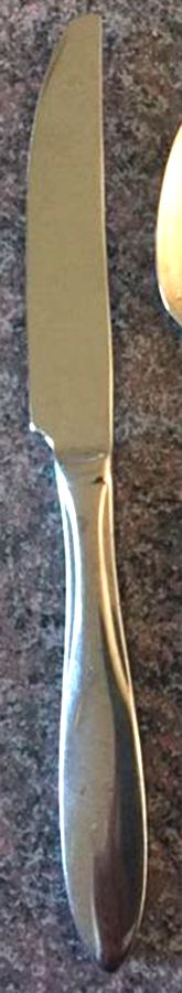 MFS17 (Stainless) Modern Hollow Knife by Martha Stewart Flatw-1
