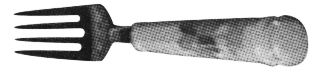 Patches Dinner Fork (7 1/2" or Larger) by Noritake-1
