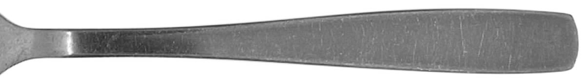 NRD1 (STAINLESS) Fork by Nordan-1