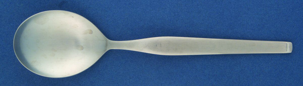 Fantasy (Stainless) Tablespoon (Serving Spoon) by Noritake Silver-1
