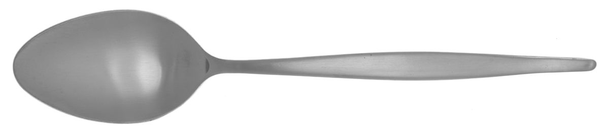 Astron (Stainless) Teaspoon by Nasco-1