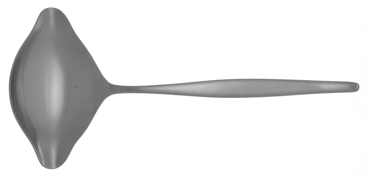 Astron (Stainless) Solid Gravy Ladle by Nasco-1