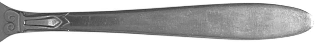 Berkshire (Stainless) Fork by Nasco-1