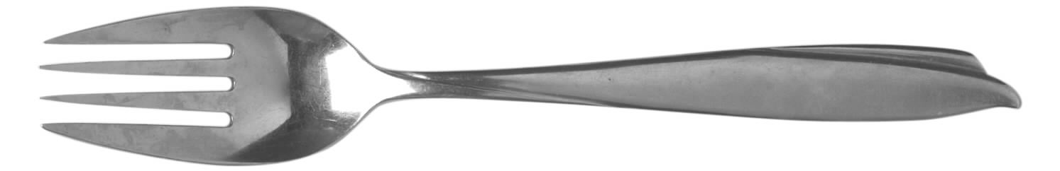 Doric (Stainless) Fork by Nasco-1