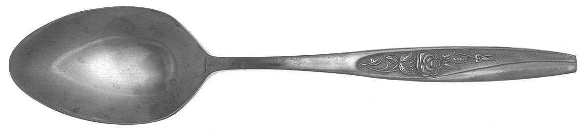 Embrace (Stainless) Tablespoon (Serving Spoon) by Nasco-1