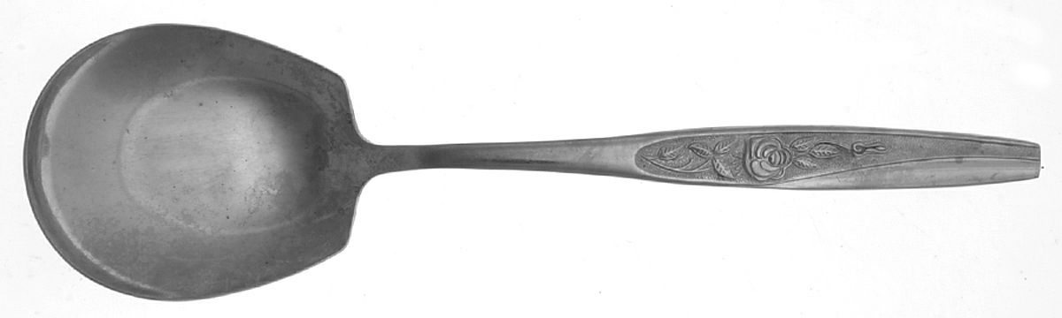 Embrace (Stainless) Solid Smooth Casserole Spoon by Nasco-1