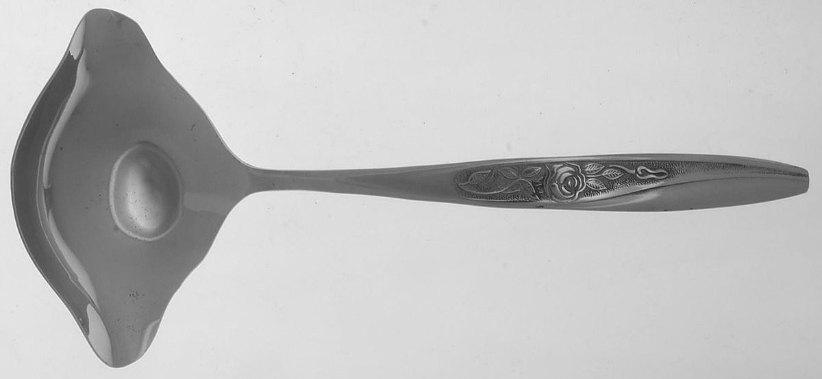 Embrace (Stainless) Solid Gravy Ladle by Nasco-1