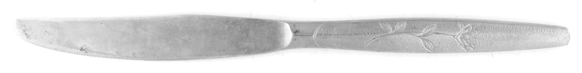 Fleur (Stainless) Modern Solid Knife by Nasco-1