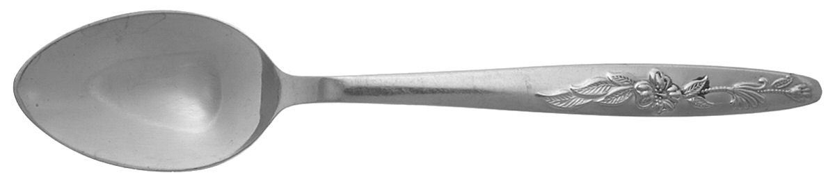 Lady Charming (Stainless) Teaspoon by Nasco-1