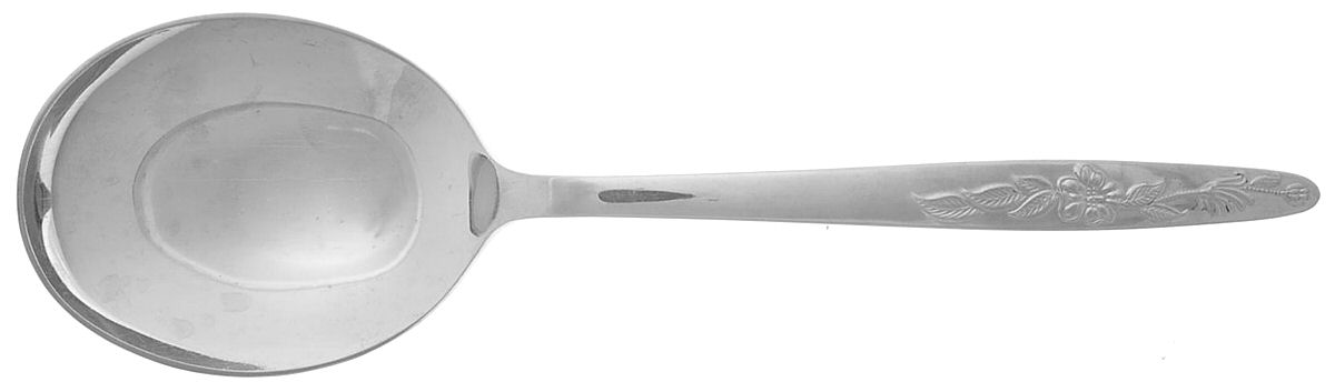 Lady Charming (Stainless) Solid Smooth Casserole Spoon by Nasco-1