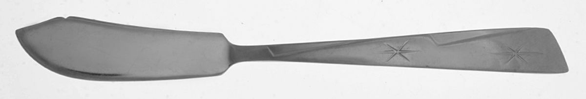 Meteor (Stainless) Flat Handle Master Butter Knife by Nasco-1