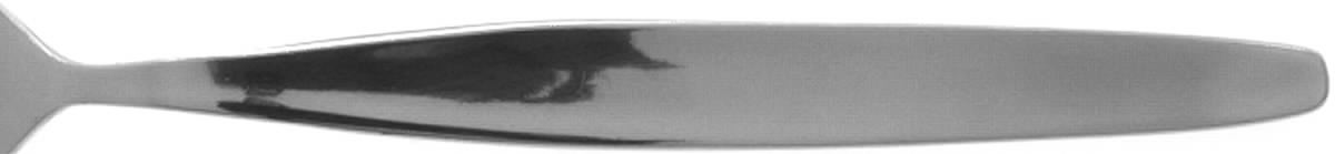 Mist (Stainless) Fork by Nasco-1