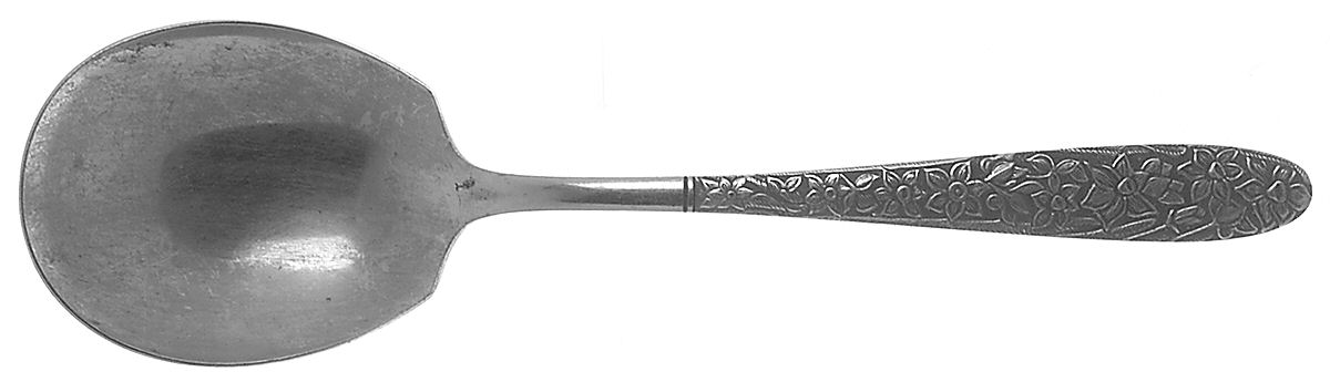 Narcissus (Stainless) Solid Smooth Casserole Spoon by Nasco-1