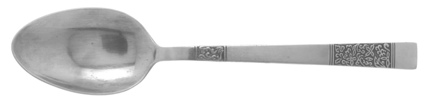 NSS69 (STAINLESS) Teaspoon by Nasco-1