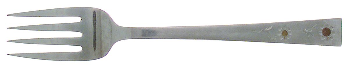 Radiant (Stainless) Individual Salad Fork by Nasco-1