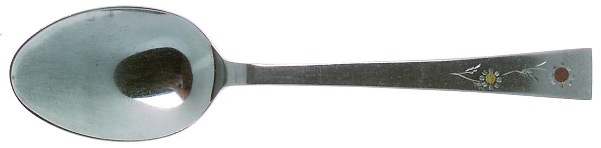 Radiant (Stainless) Tablespoon (Serving Spoon) by Nasco-1
