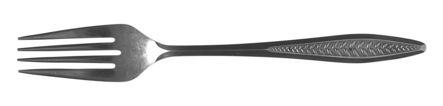 Santingo (Stainless) Fork by Nasco-1