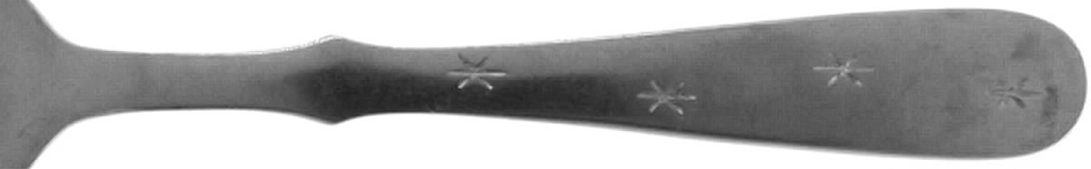 Star Sapphire (Stainless) Fork by Nasco-1