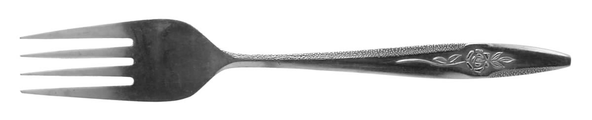 Temptation (Stainless) Individual Salad Fork by Nasco-1