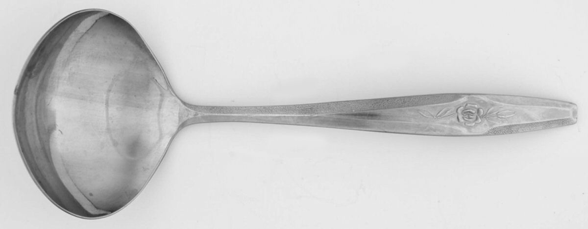 Temptation (Stainless) Solid Gravy Ladle by Nasco-1