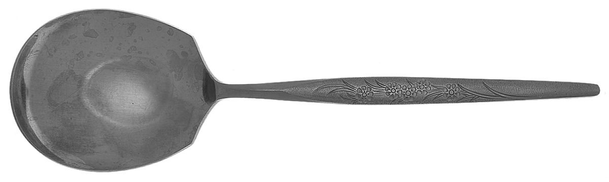 Tina (Stainless) Solid Smooth Casserole Spoon by Nasco-1