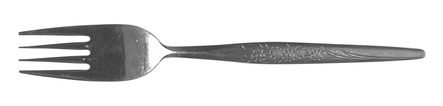 Tina (Stainless) Fork by Nasco-1
