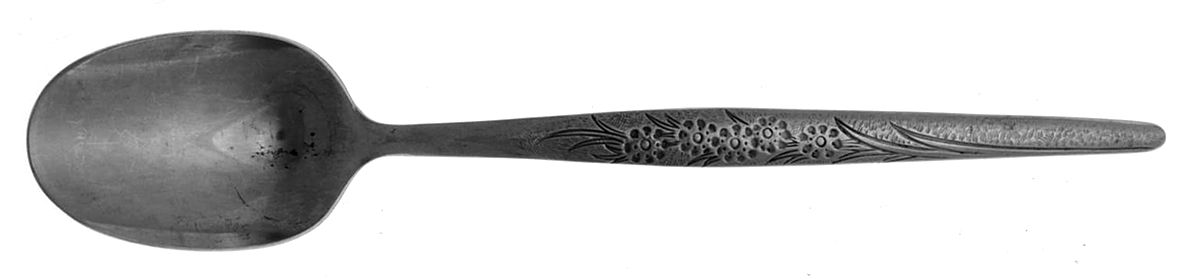 Tina (Stainless) Sugar Spoon by Nasco-1