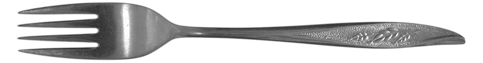 Vassar (Stainless) Fork by Nasco-1