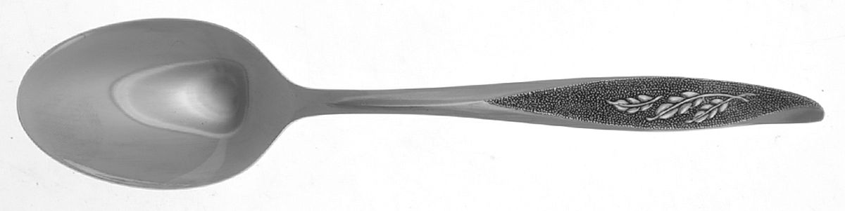 Vassar (Stainless) Teaspoon by Nasco-1
