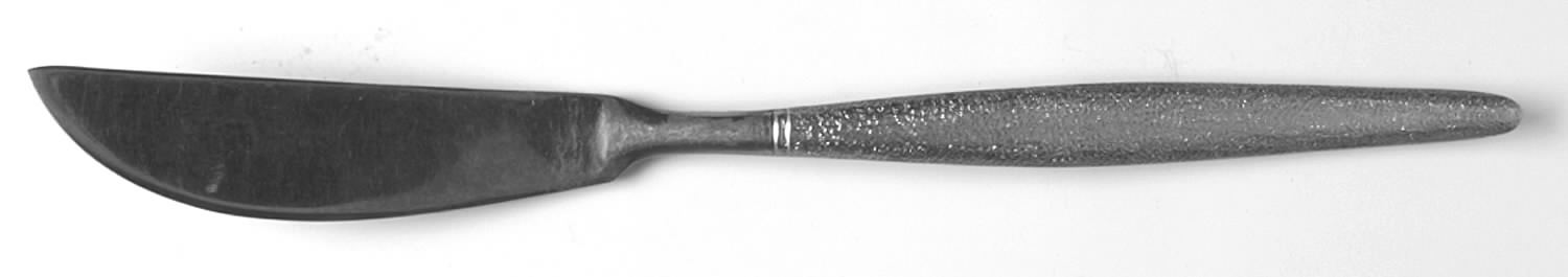 Aalborg (Stainless) Flat Handle Master Butter Knife by National Stainless-1