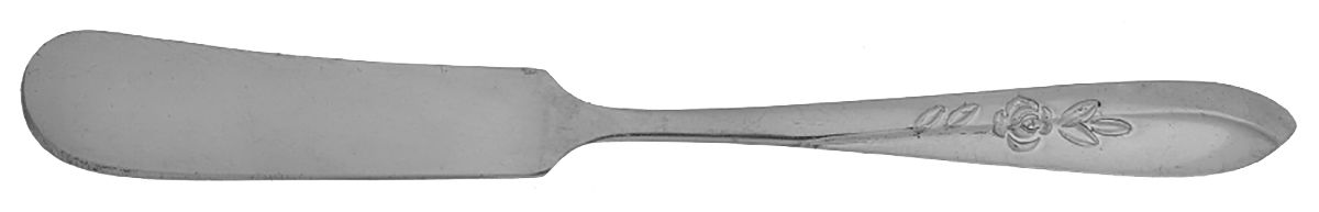 Carlyle (Stainless) Flat Handle Butter Spreader by National Stainless-1