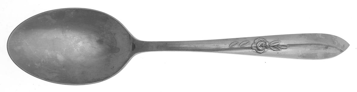 Carlyle (Stainless) Tablespoon (Serving Spoon) by National Stainless-1