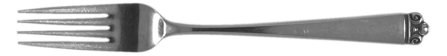 Crown Point (Stainless) Fork by National Stainless-1