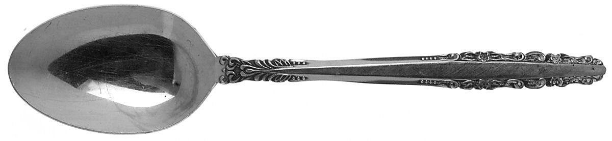 Fashion (Stainless) Tablespoon (Serving Spoon) by National Stainless-1