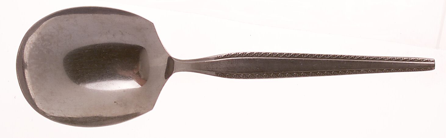 Granada (Stainless) Solid Smooth Casserole Spoon by National Stainless-1