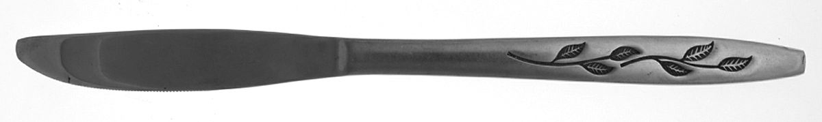 Haiti (Stainless) Modern Solid Knife by National Stainless-1