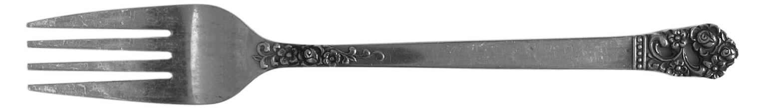 Lady Grace (Stainless) Individual Salad Fork by National Stainless-1