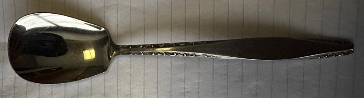 Manor (Stainless) Sugar Spoon by National Stainless-1